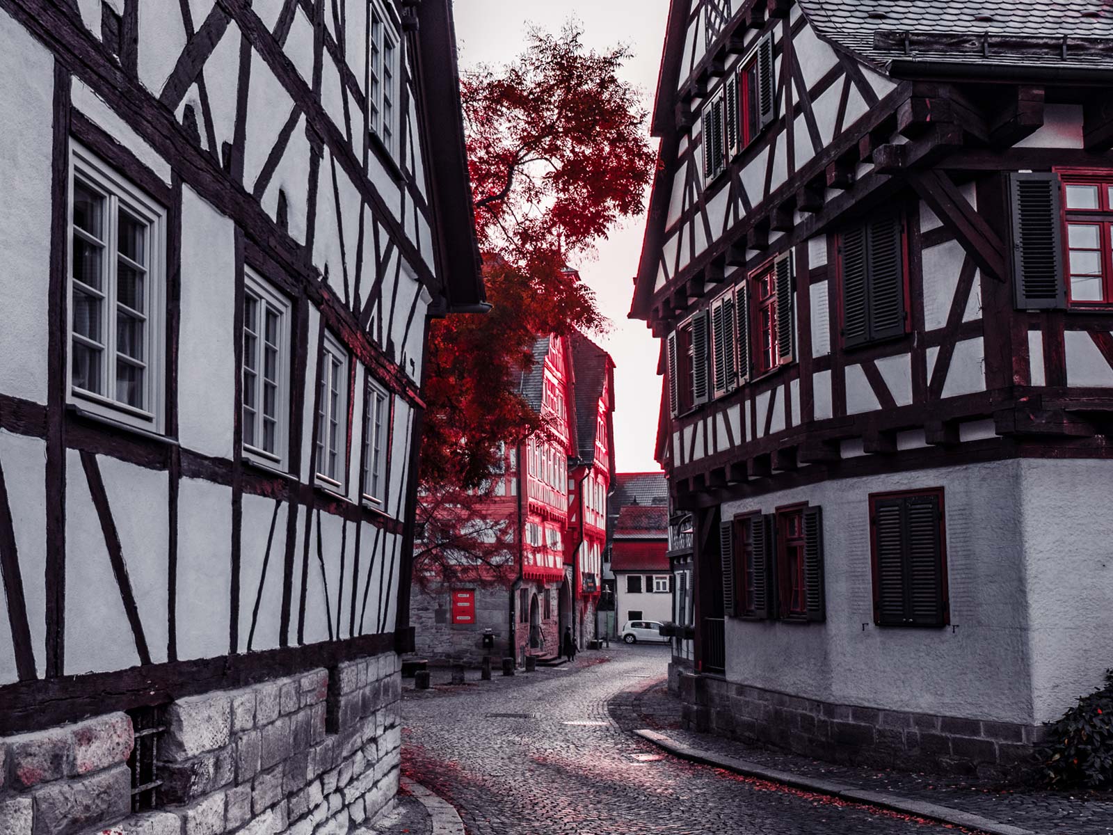 Restaurant_Essen_2_Erikson_Hotel_Sindelfingen